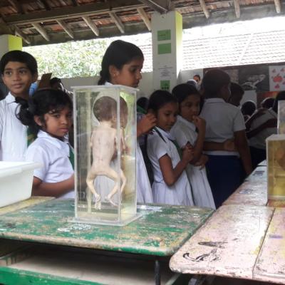 Whatsapp Image 2023 10 23 At 13.08.47 4066acff Copy